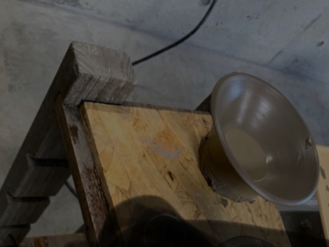 ����r���A���s�������ɂȂ邪�A�h�o�C�X��A�V�X�g�����Ă����̂łȂ�Ƃ��`�ɂȂ�܂����B_�Ȃ����q