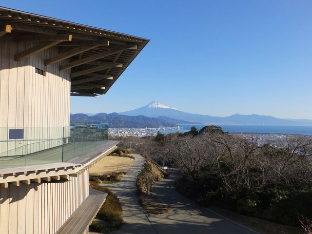 ���{�����e���X