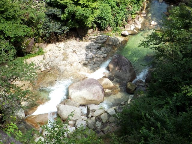 �k���̐�������ł��܂��B_�O���k�J