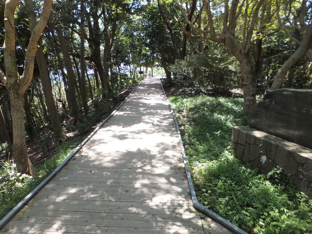展望台から木もれ日テラスへの道_横山
