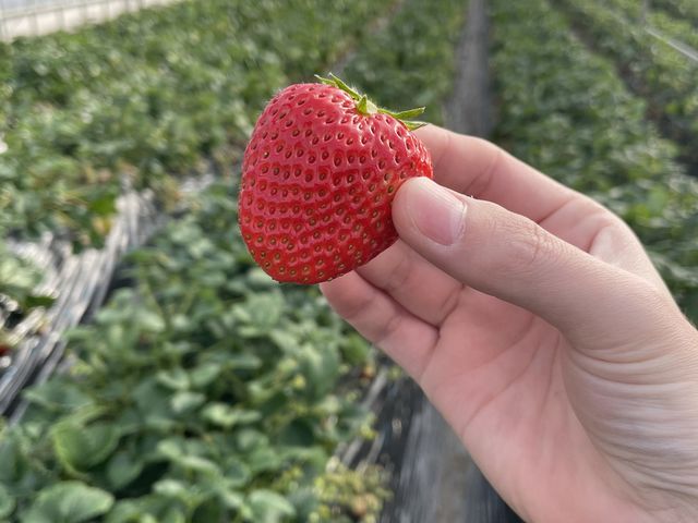 ���ꂢ^_^_���R�_��