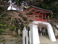 �̂�䂫����̈��ݗ��_�Ђւ̓��e�ʐ^1