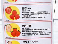 ����Ȃ҂񂳂�̒����t�B�[���Y�ւ̓��e�ʐ^1