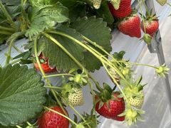 ̂Eu[x[_@x[̋ւ̓eʐ^1