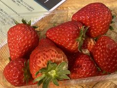 ̂͂邳͖̉쉀|ւ̓eʐ^1