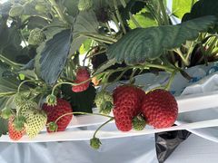 KHIRÕAOX^[XyVւ̓eʐ^1