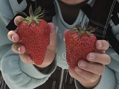 KHIRÕAOX^[XyVւ̓eʐ^2