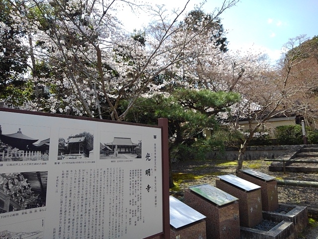 �����Ă����̍�_���R��y�@���{�R������