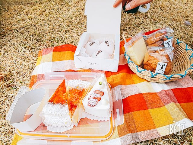 �������ŃX�C�[�c���w�����Ẵs�N�j�b�N_UMESEKO TOUR