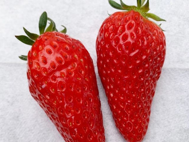 �傫���C�`�S_�ό������_�����C�t�@�[��