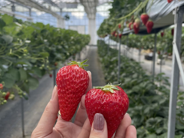 �^���Ԃ��Y��Ȃ������ō��ł���_�x�ÃA�N�A�t�@�[��