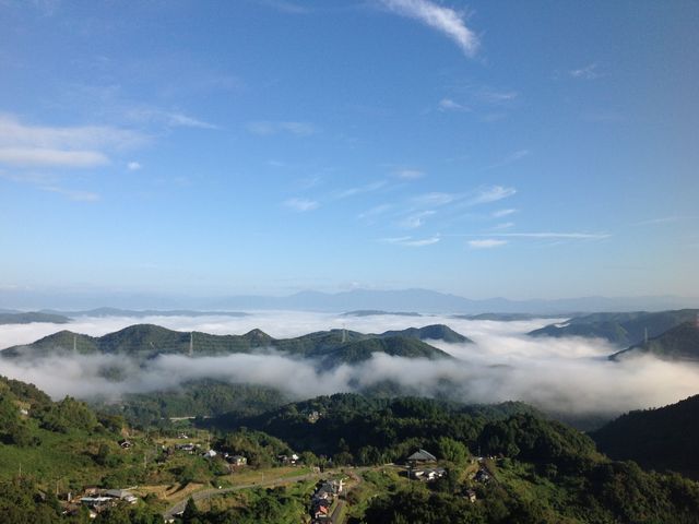 ԂƐ₩ɂȂĂ_V̏~G߂̃n[ueB[Ɖ_Ct~