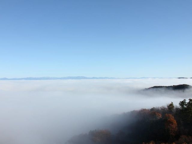 ߂̓V̏~G߂̃n[ueB[Ɖ_Ct~̓eʐ^3