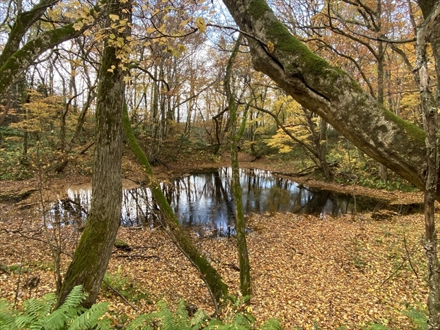 �u�i�тƒr_���_�R�n�̃u�i��