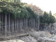 tHXgAhx`[tW/gCAhx`[tW̎ʐ^2