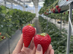 ����������̕x�ÃA�N�A�t�@�[���ւ̓��e�ʐ^1