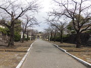 �n���������̐[�J�隬�����̓��e�ʐ^2