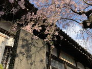 傤܂̑nՕM˂̓eʐ^1