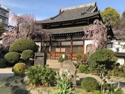 傤܂̑nՕM˂̓eʐ^2