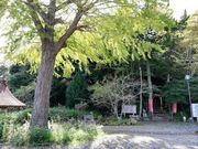 purinn77̈[R@@̓eʐ^2