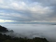 ߂̓V̏~G߂̃n[ueB[Ɖ_Ct~̓eʐ^1