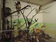 񂳂̔rW^[Z^[݊ق̓eʐ^4