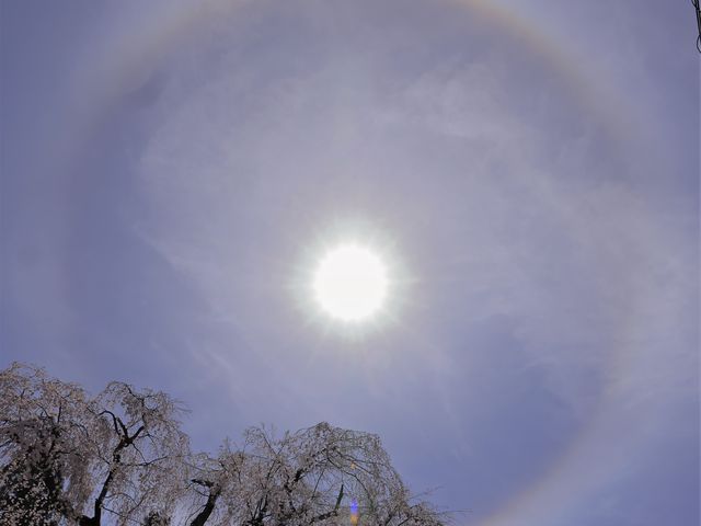 Ƃ񂳂̌IR򂵂̓eʐ^4