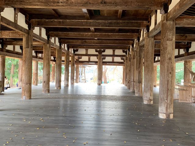 �V�{�F��_�Ё@����_�V�{�F��_��