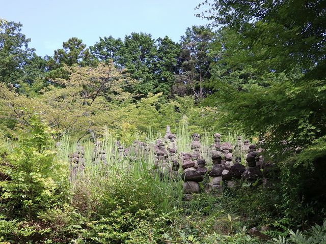 �đ��������΂��Ă��܂����B_���a���ꑰ�Y�}�̕�