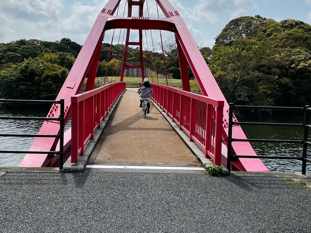 �D�u��_�k��B�s�T�C�N�����O�^�[�~�i��