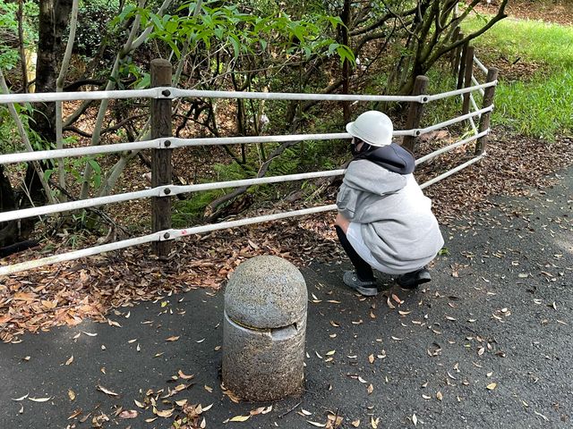 �L�Ƃ̏o�_�k��B�s�T�C�N�����O�^�[�~�i��