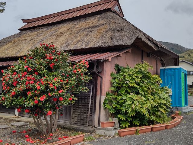 ���΂�񂳂�̉��P���֏��Ղ̓��e�ʐ^1