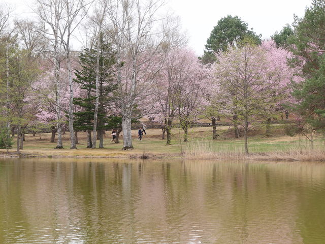 �r�ƍ�_�΃��u�����E�O���[���p�[�N�i400m�x���`�j