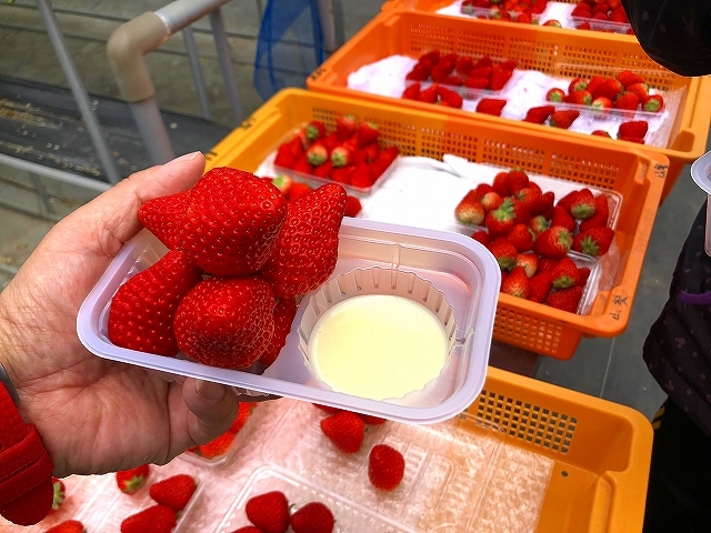 BOX�ɗp�ӂ��ꂽ�C�`�S��H�ׂ�d�@���Ԗ������̂��ו����I_�R��FUJI�t���[�c�p�[�N