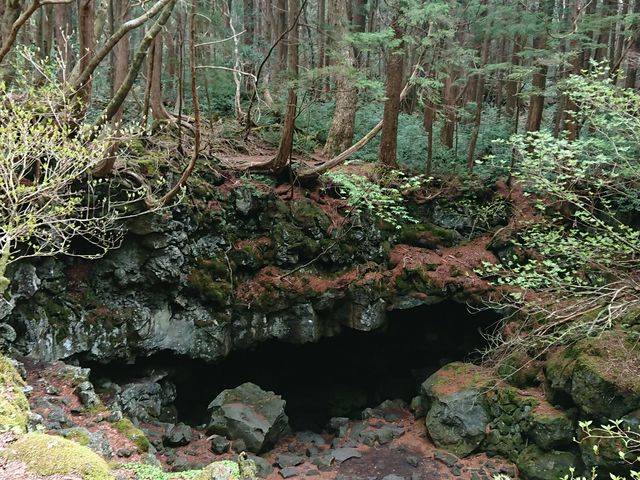 �x�m����  �K�C�h�����ł͒��ɓ��邱�Ƃ��ł��܂���_�A�E�g�h�A�̌� in �x�m�R�[ FUJI HAT