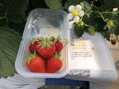 񂿂񂳂̂Eu[x[_@x[̋ւ̓eʐ^1