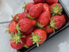 joumonfarmi傤ӂ[ށjւ̓eʐ^1