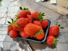 Ƃтjoumonfarmi傤ӂ[ށjւ̓eʐ^1