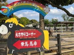 北九州市立響灘緑地 グリーンパークの写真一覧 2ページ目 じゃらんnet