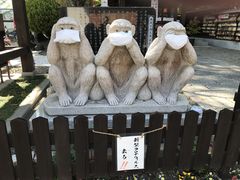 harusu����̋ʑ������{�ւ̓��e�ʐ^1