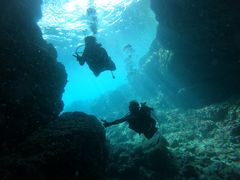 mã_Cu (MalDive)ւ̓eʐ^1