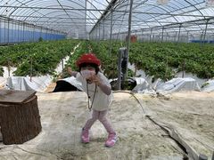 yuteraoing̓V̂ʐ^ ܂邩ւ̓eʐ^1