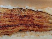 Ё[񂳂̓{ ɐ̓eʐ^2