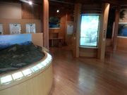 matsuy̏\΃rW^[Z^[̓eʐ^2