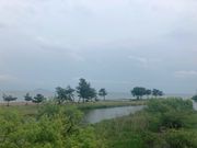 Ȃ񂳂̃}LmTj[r[`imlI[gLvj̓eʐ^1