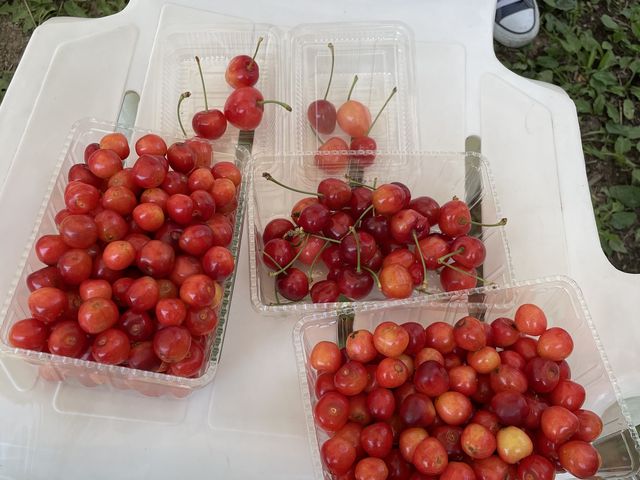 ����Ȃɂ��������܂���_�g���`������