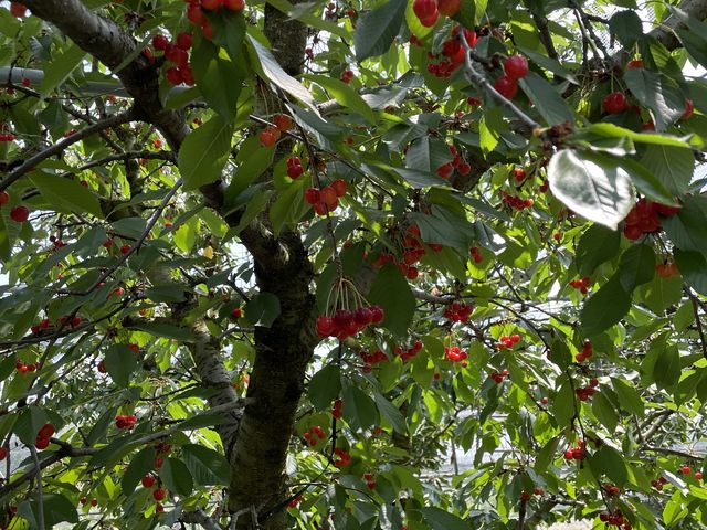 ��̕��̎���������������_�g���`������