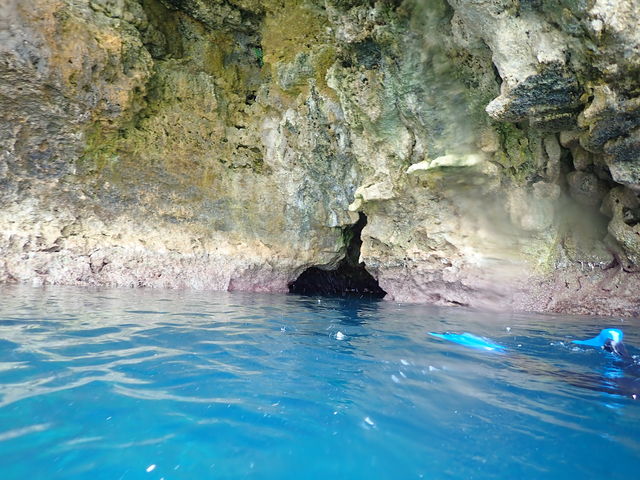 ���������Q�I_�̓��A�@���S�Ґ��X�@B-tide