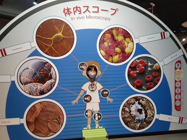 �̓��ɂ���_���É��s�Ȋw��