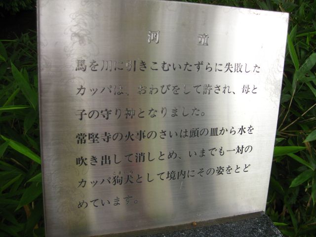 �J�b�p�ɂ��ẴG�s�\�[�h�̊ŔB_�팘��